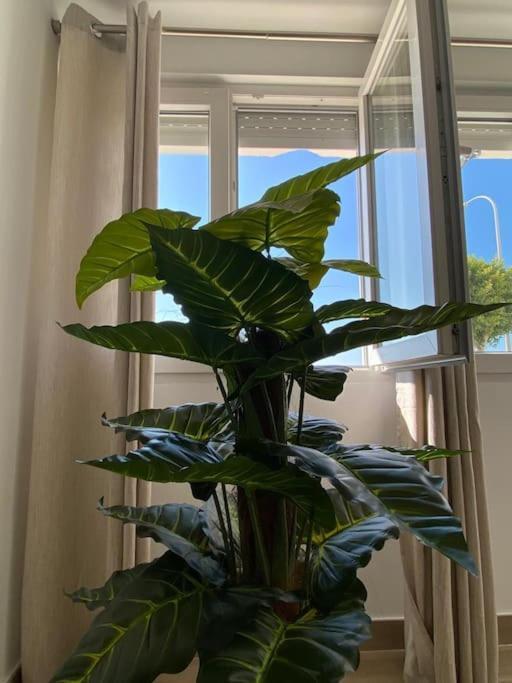 Sea Escape 2 Apartment Almunecar Ngoại thất bức ảnh